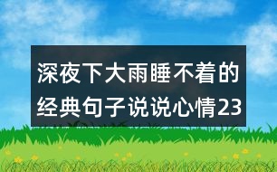 深夜下大雨睡不著的經(jīng)典句子說說心情239句