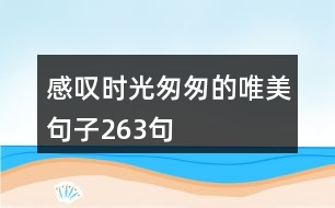 感嘆時光匆匆的唯美句子263句