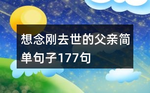 想念剛?cè)ナ赖母赣H簡(jiǎn)單句子177句