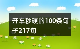 開(kāi)車(chē)秒硬的100條句子217句