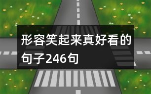 形容笑起來真好看的句子246句