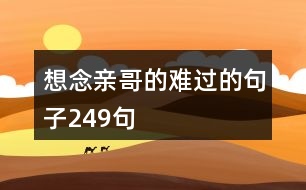 想念親哥的難過的句子249句