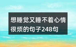 想睡覺又睡不著心情很煩的句子248句