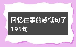 回憶往事的感慨句子195句