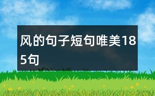 風(fēng)的句子短句唯美185句