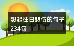 想起往日悲傷的句子234句