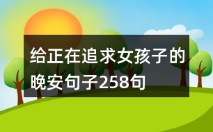 給正在追求女孩子的晚安句子258句