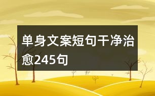 單身文案短句干凈治愈245句