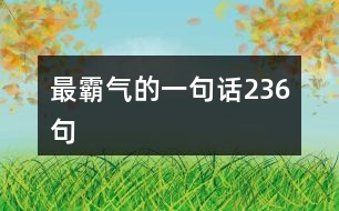 最霸氣的一句話236句