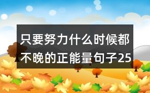 只要努力什么時候都不晚的正能量句子256句