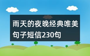 雨天的夜晚經(jīng)典唯美句子短信230句