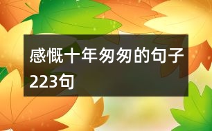 感慨十年匆匆的句子223句