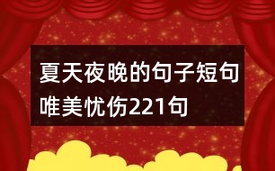 夏天夜晚的句子短句唯美憂傷221句