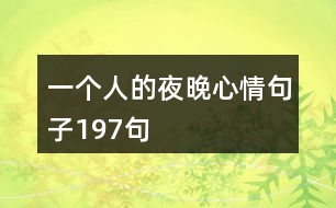 一個(gè)人的夜晚心情句子197句