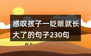 感嘆孩子一眨眼就長(zhǎng)大了的句子230句