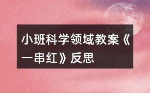 小班科學(xué)領(lǐng)域教案《一串紅》反思