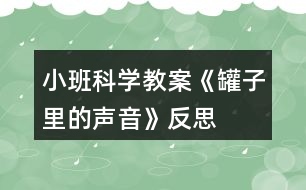 小班科學教案《罐子里的聲音》反思