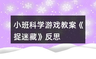 小班科學游戲教案《捉迷藏》反思