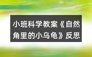 小班科學(xué)教案《自然角里的小烏龜》反思