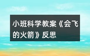 小班科學(xué)教案《會(huì)飛的火箭》反思