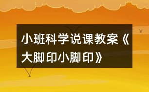 小班科學(xué)說(shuō)課教案《大腳印、小腳印》