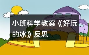 小班科學(xué)教案《好玩的冰》反思