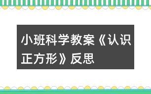 小班科學(xué)教案《認(rèn)識(shí)正方形》反思