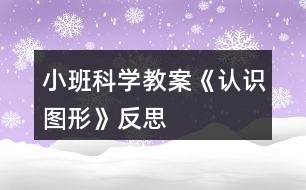 小班科學教案《認識圖形》反思