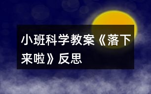 小班科學(xué)教案《落下來啦》反思