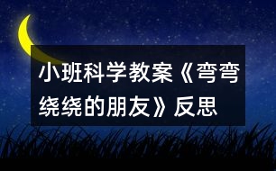 小班科學(xué)教案《彎彎繞繞的朋友》反思