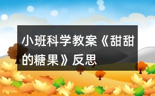 小班科學(xué)教案《甜甜的糖果》反思