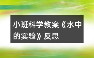 小班科學(xué)教案《水中的實(shí)驗(yàn)》反思