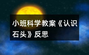 小班科學教案《認識石頭》反思