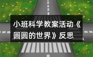 小班科學(xué)教案活動(dòng)《圓圓的世界》反思