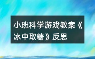 小班科學游戲教案《冰中取糖》反思