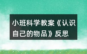 小班科學(xué)教案《認(rèn)識(shí)自己的物品》反思