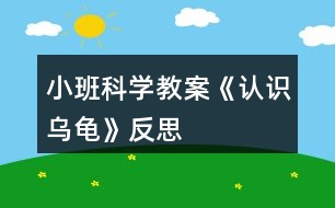 小班科學(xué)教案《認(rèn)識烏龜》反思