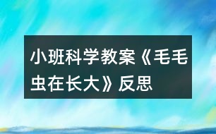 小班科學教案《毛毛蟲在長大》反思