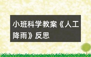 小班科學教案《人工降雨》反思