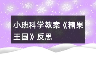 小班科學(xué)教案《糖果王國(guó)》反思