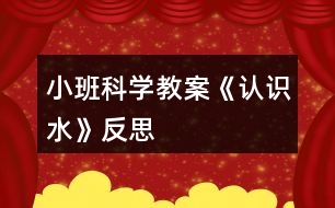 小班科學(xué)教案《認識水》反思