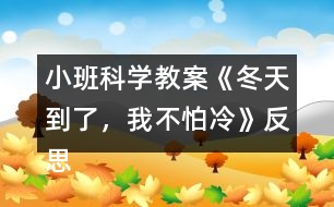 小班科學教案《冬天到了，我不怕冷》反思