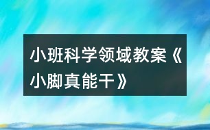 小班科學(xué)領(lǐng)域教案《小腳真能干》