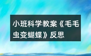 小班科學教案《毛毛蟲變蝴蝶》反思