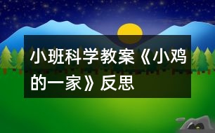 小班科學(xué)教案《小雞的一家》反思