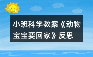 小班科學(xué)教案《動物寶寶要回家》反思