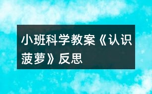 小班科學(xué)教案《認(rèn)識(shí)菠蘿》反思