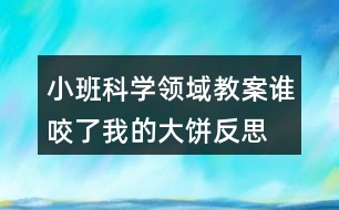 小班科學(xué)領(lǐng)域教案誰咬了我的大餅反思