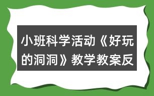 小班科學(xué)活動《好玩的洞洞》教學(xué)教案反思