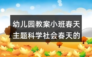 幼兒園教案小班春天主題科學(xué)社會(huì)春天的小喇叭迎春花